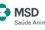 Msd 150x98
